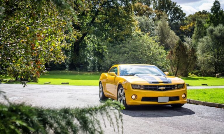 shutterstock 533502937 1 1000x600.jpg