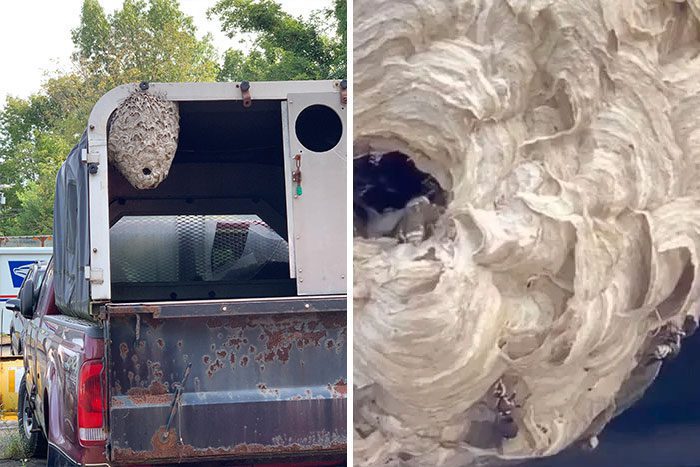 3 1 img 61c370670970c img 61c43fea5e3e8 img 62d6977f4be00