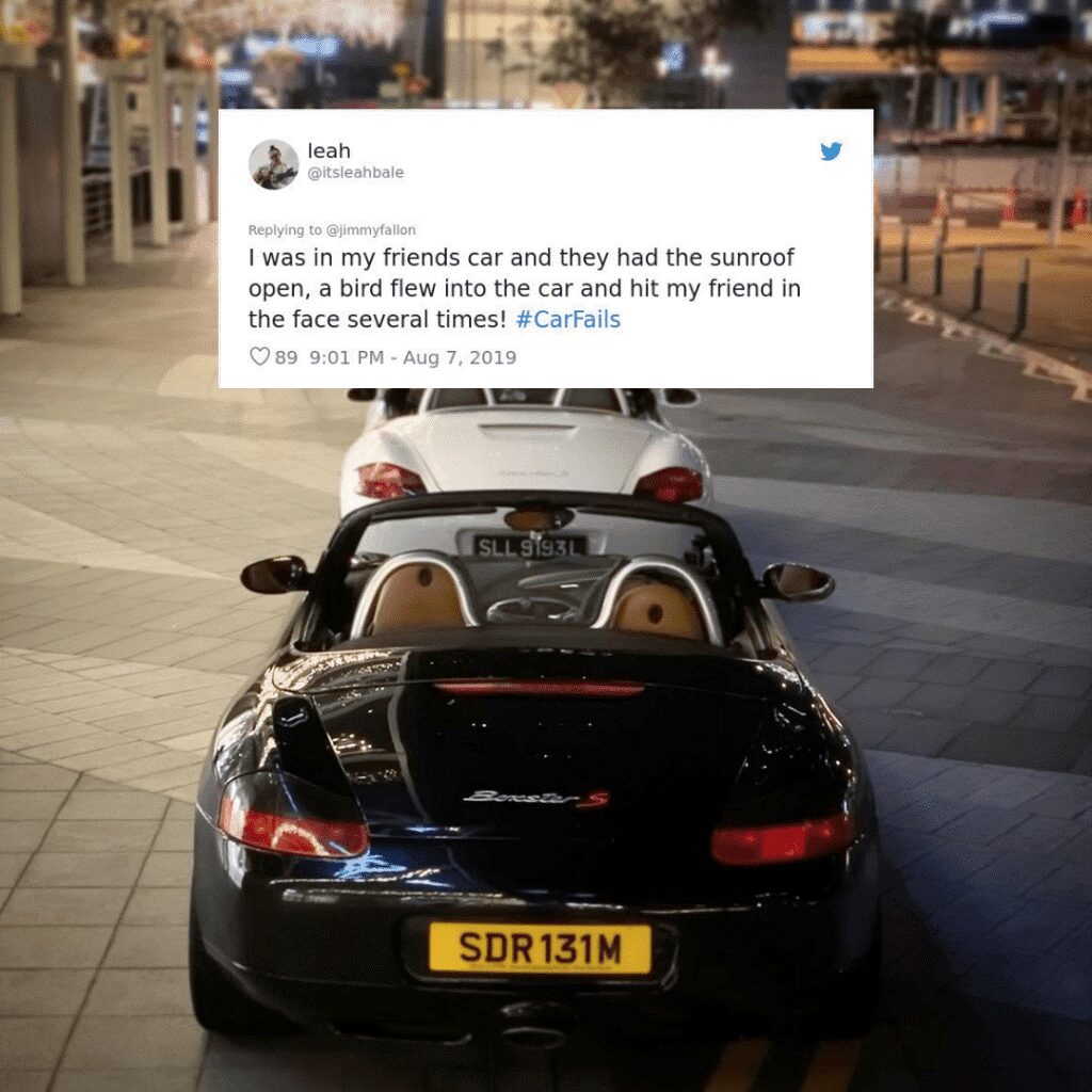 A tweet about a bird flying into someone’s face through an open sunroof