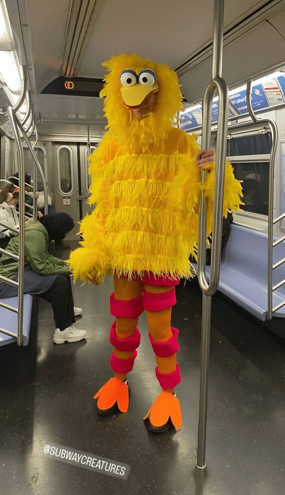 34 8 img 659424a70222b