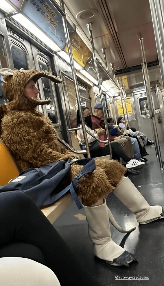 38 5 img 659424ae56205