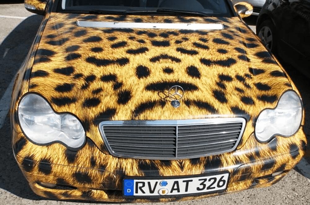 3tpubpmgmcm3oiqhwza4t ypc ji9jogwytr7rfdj9rgvpnqpgwyvettgfmdttziohfhpyyri2qnnnjzjfajpcza rtzcyd6druz