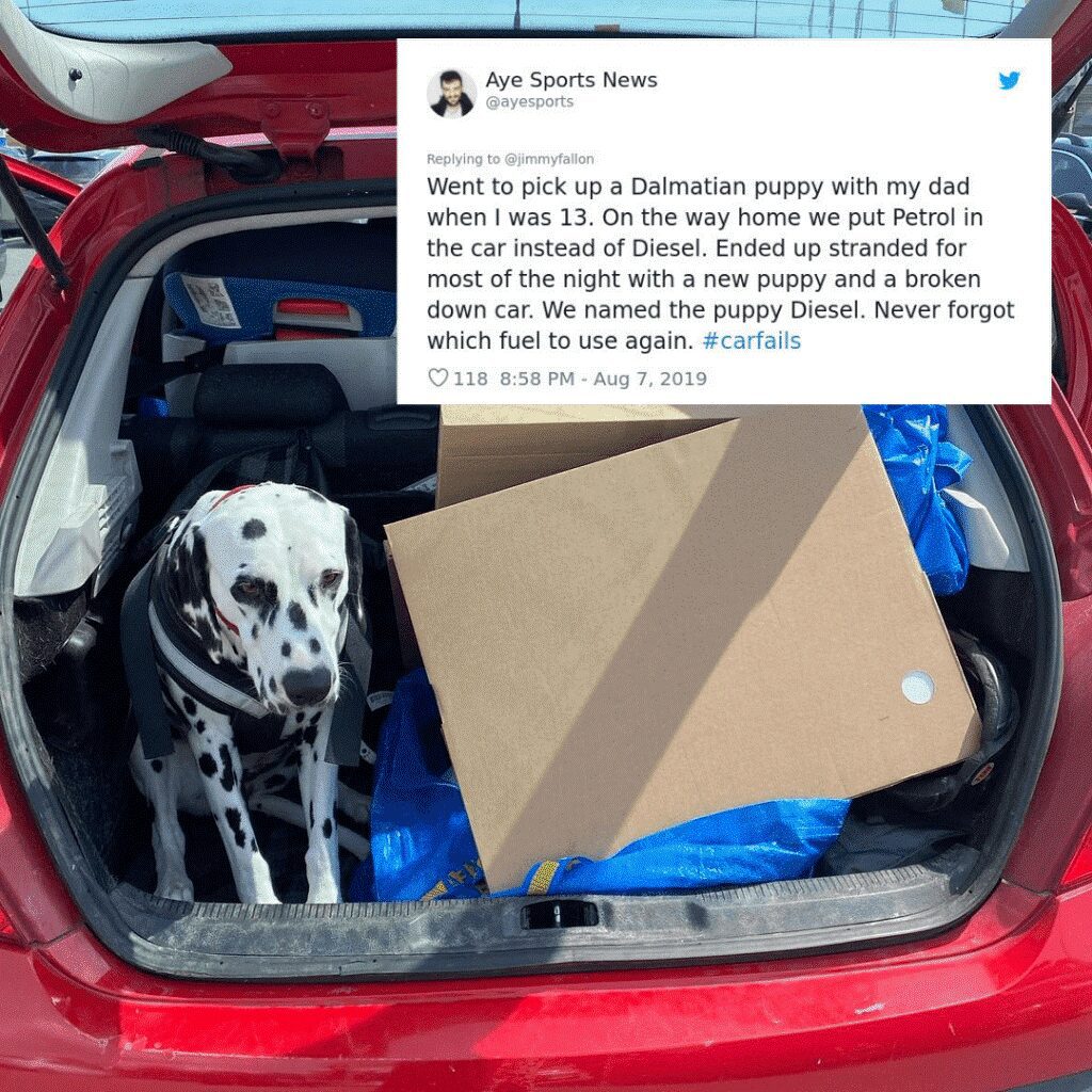 A tweet about using the wrong fuel and naming a puppy Diesel