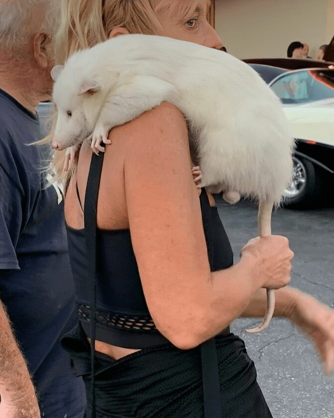 6. cvrpcfup0ip png 700 img 659eaa515fbaf