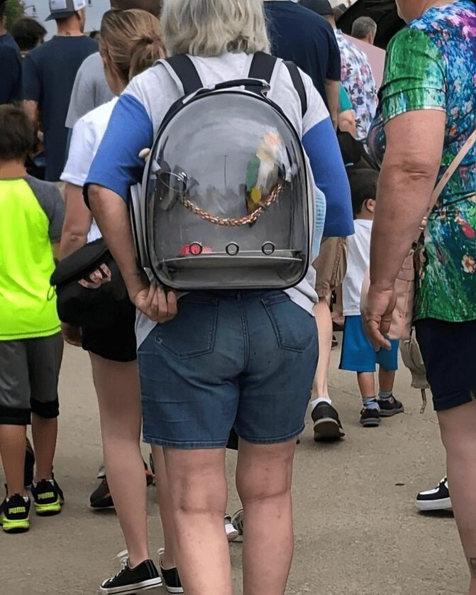 69. csxvxhtpyqw png 700 img 659eaa5d22b20