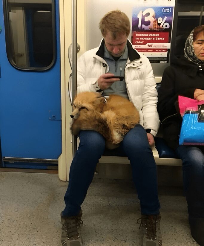 7 11 1 img 65942478532ca