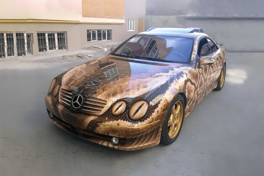 snake on a car
