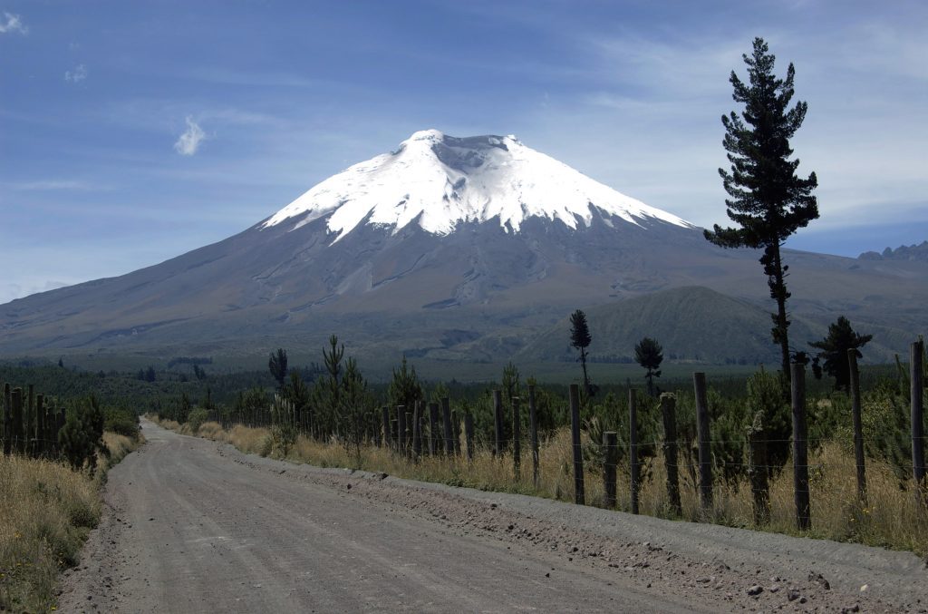 shutterstock 61133950