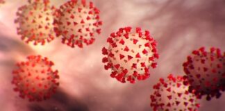 Coronavirus