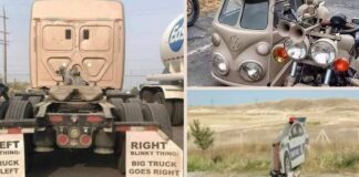 35 Funny Photos Of Bad Drivers That Make Us Question How The Heck They Got A License