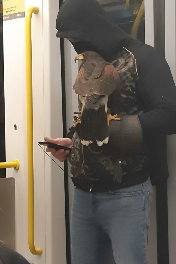 5 9 img 65942472ecf4e