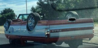 50. 6476e2526a549 funny weird things on the road img 649168d362f14.jpg