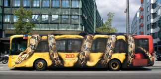 Custom Car Wrap