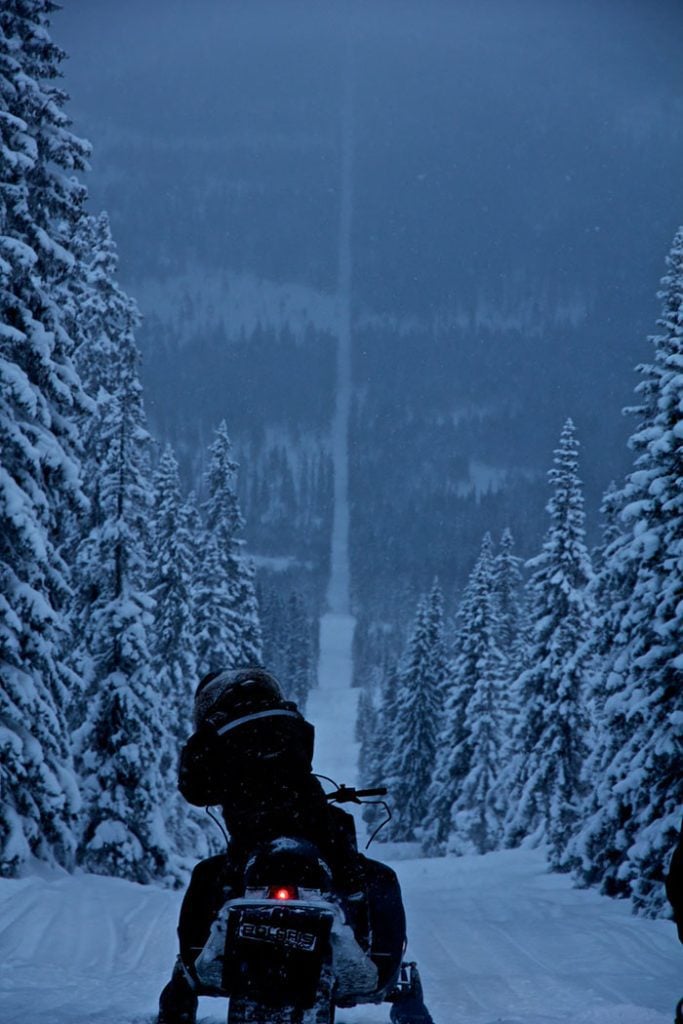 forested border between norway and sweden