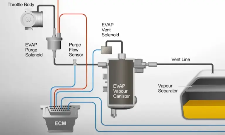 evap system