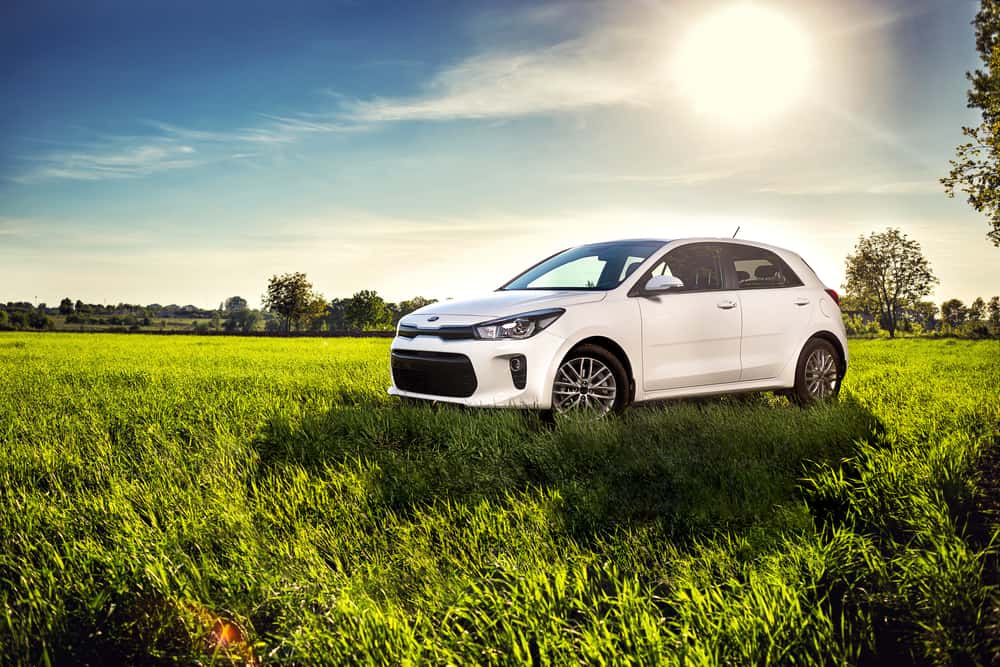 kia rio